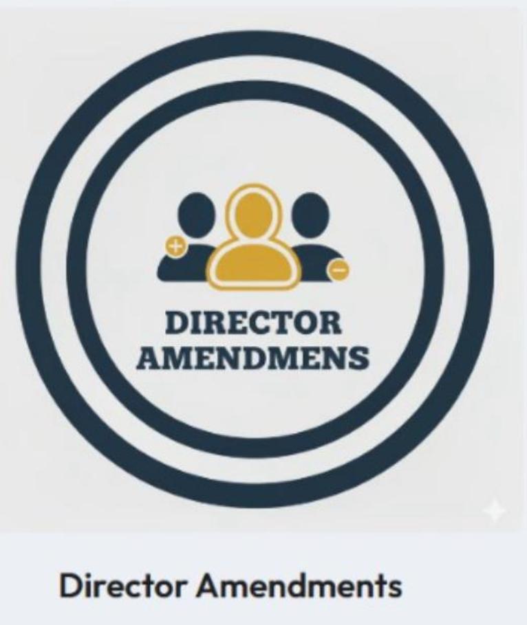 DIRECTOR AMENDMENTS